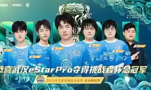 王者荣耀各战队阵容搭配