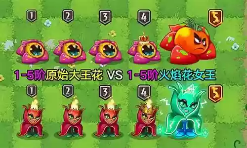 原始大王花阵容怎么搭配