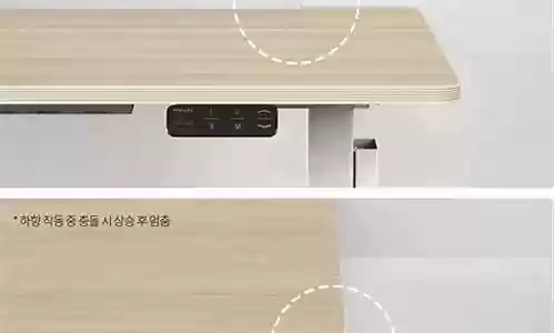 S24庄周阵容搭配
