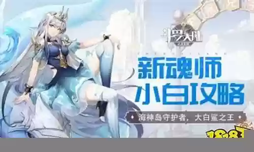 小白武魂搭配阵容推荐图片