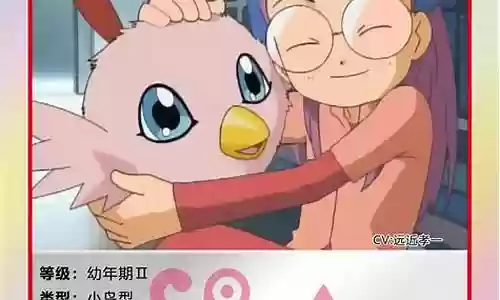数码兽大冒险阵容搭配