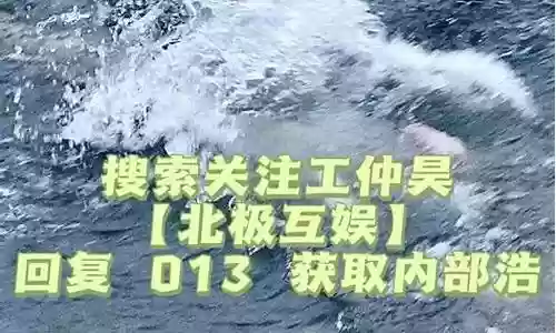 森林王国最强阵容搭配推荐