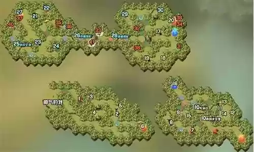 贤者联盟阵容搭配图