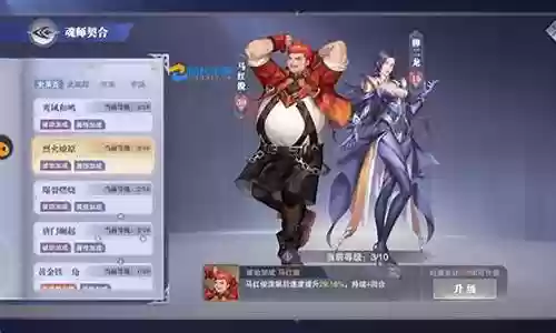 猫如何搭配悬赏阵容