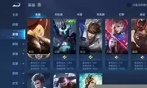 李信国服搭配阵容