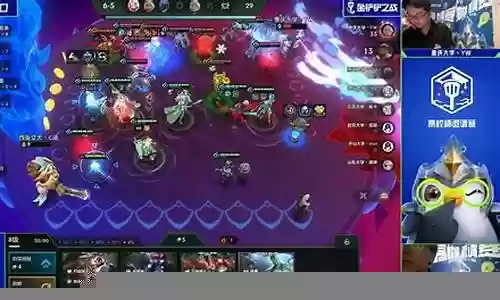 三星狐狸阵容搭配