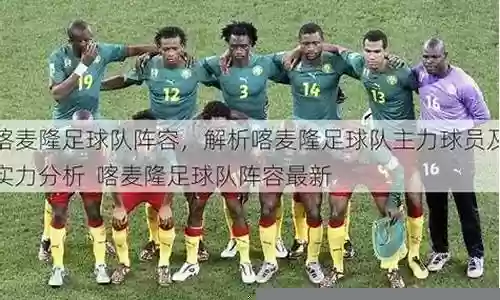 喀麦隆球员阵容搭配图表
