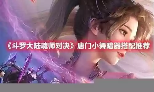 小舞最佳暗器阵容搭配