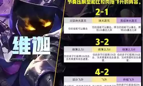 维迦搭配什么阵容好