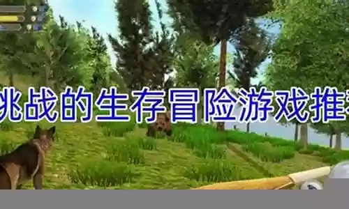 生存冒险挑战推荐阵容搭配
