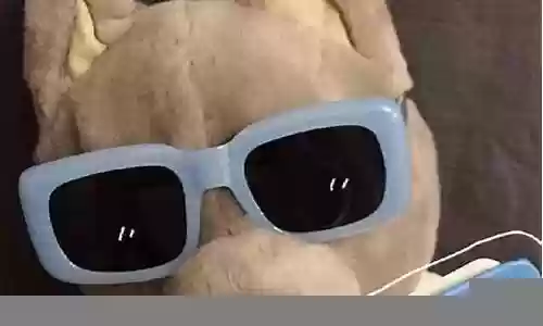 最强五人组队阵容搭配