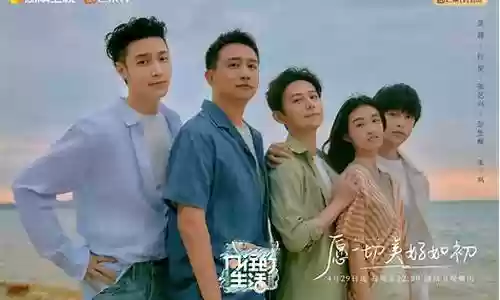 向往的生活六阵容搭配