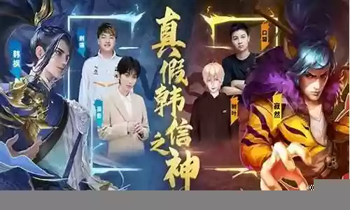 韩枫战队阵容搭配图鉴最新