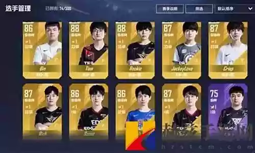 乔治经理阵容怎么搭配最好