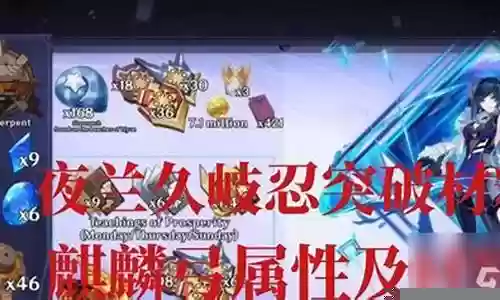 夜兰全新阵容搭配图表