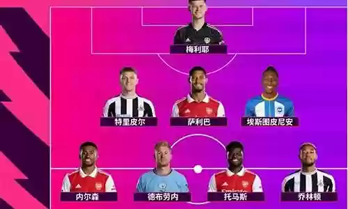 05赛季纽卡阵容搭配