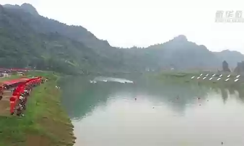 凤凰龙舟竞速最佳搭配阵容