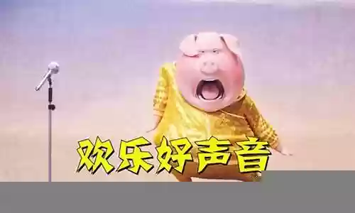 动物好声音阵容搭配攻略