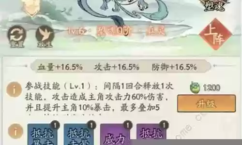 最强减伤阵容搭配推荐