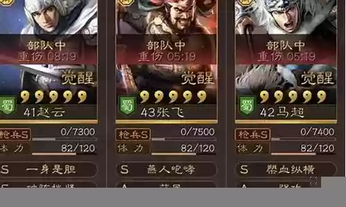 赵云董卓如何搭配战法阵容
