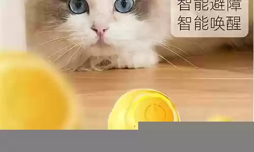 逗猫神器推荐阵容搭配最新