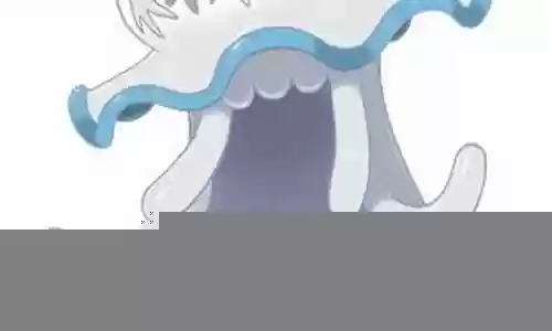 卡璞鳍鳍阵容搭配