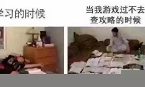 夜阑搭配什么阵容最好看