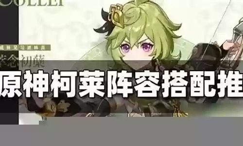 萌新柯莱阵容搭配