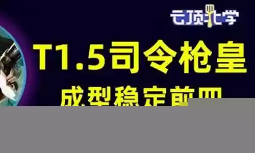 单挑职业枪皇阵容搭配