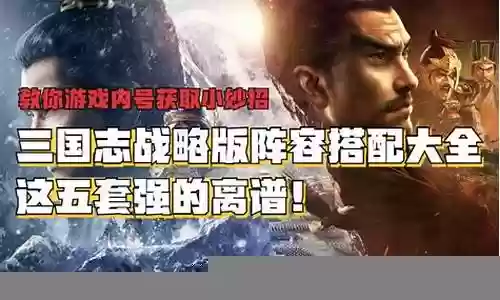南郡战略版阵容搭配