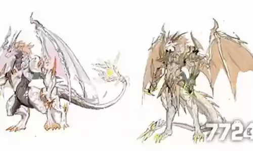 龙神武魂阵容搭配新手