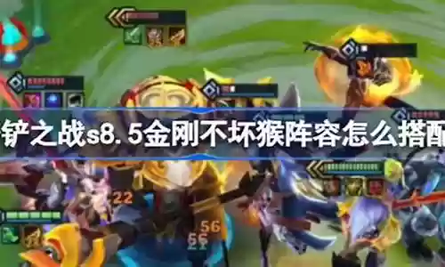 猴枪的完美阵容搭配插图