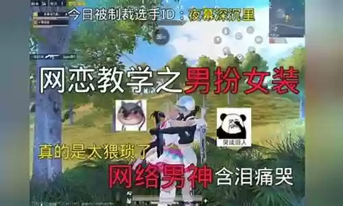 网络男神阵容搭配图