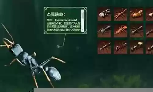 合欢树蚁阵容搭配