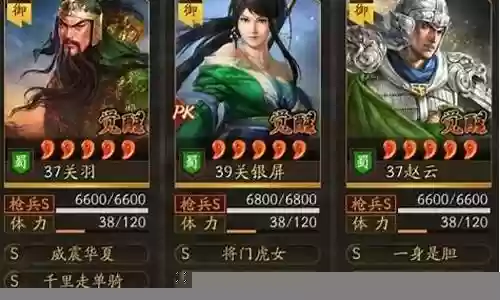 洞察枪阵容搭配最新