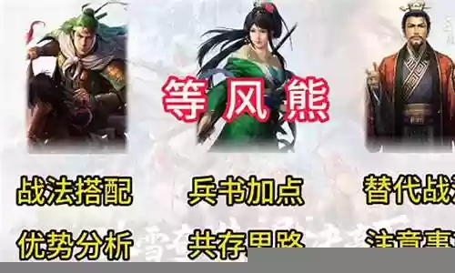 等风熊最强阵容搭配