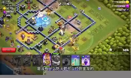 金龙鱼阵容搭配图