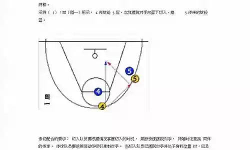 篮球阵容常用搭配图解大全