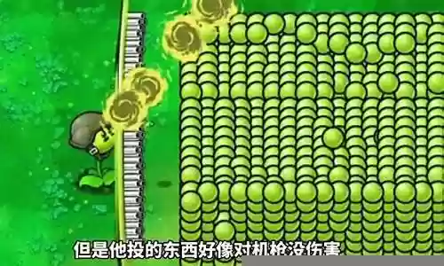 机枪射手僵尸阵容搭配图片插图