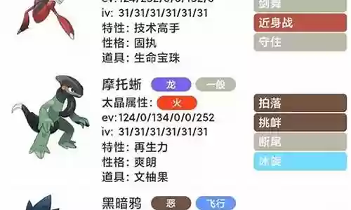 宝可梦各系阵容搭配