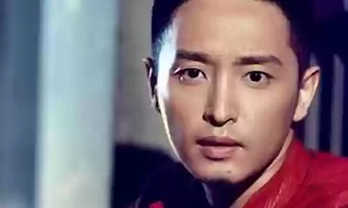 蝶影演员阵容搭配