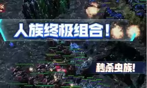 人族后期阵容搭配图表