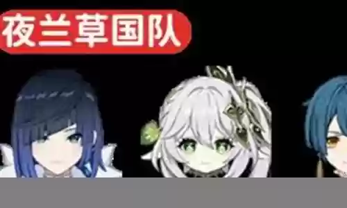 夜兰阵容搭配妮露