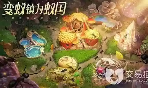 射手蚂蚁搭配阵容推荐最新