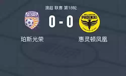 珀斯和惠灵顿阵容搭配图片