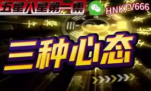 五局八星搭配阵容