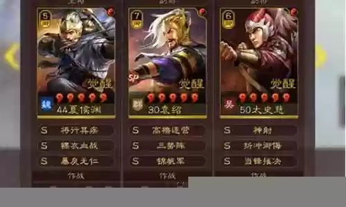 袁绍夏侯渊阵容搭配插图