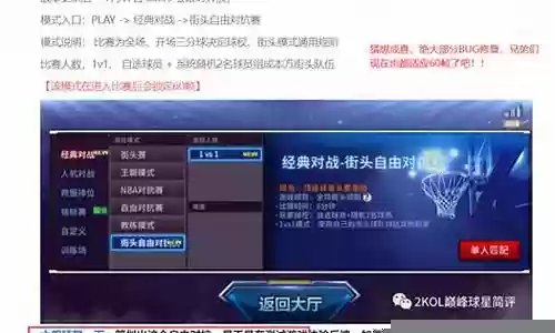 自由对抗赛阵容搭配