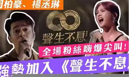 生生不息 阵容搭配推荐