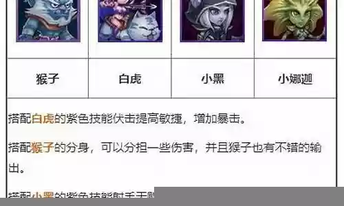 幻影刺客适合的阵容搭配